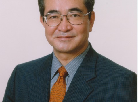 Pursuing the vision of an ideal human society in a Metropolis