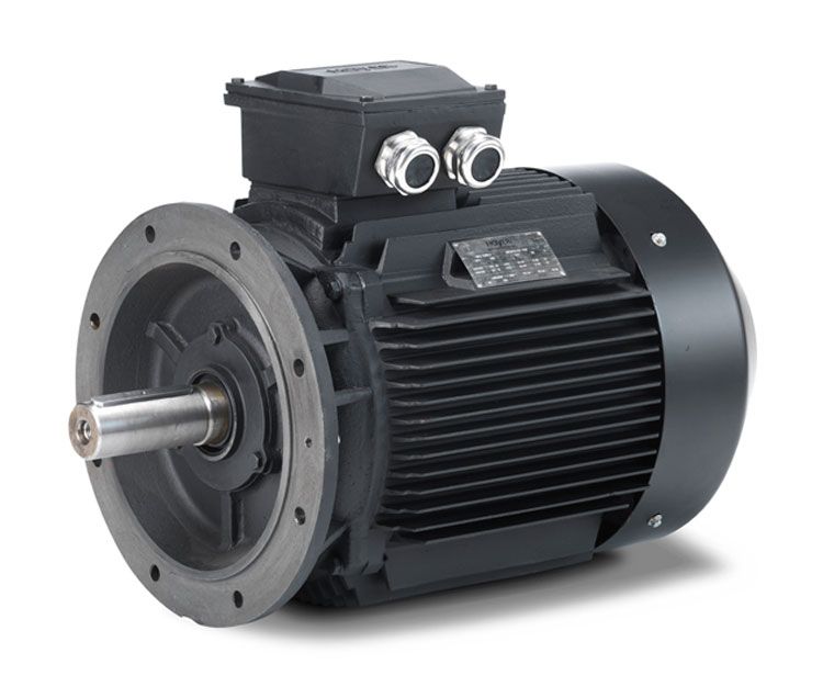 Hoyer-IE2-motor