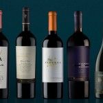 Chile - Grandes Vinos de San Pedro” VSPT Wine Group's premium division
