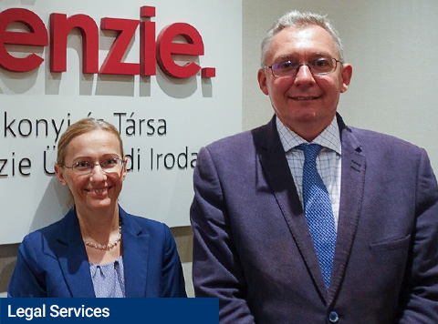 Encouraging and supporting Japanese investments and businesses