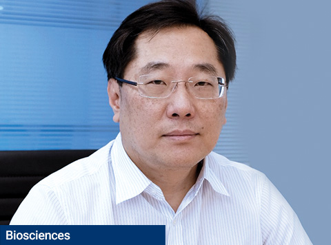 Cost-effective and reliable services for GMP virus production and testing