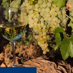 ES18 - Felix solis FI