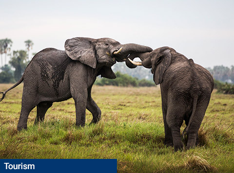 Wilderness Safaris: our journeys change lives