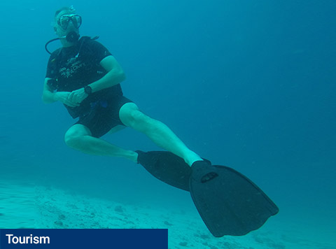 Explore Thailand’s amazing undersea world