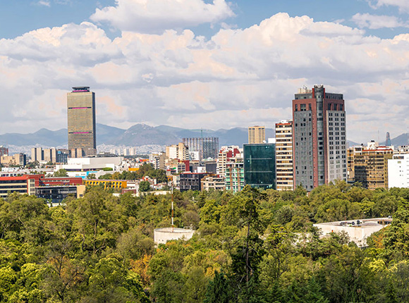 The Japan Times – Mexico Report 2020