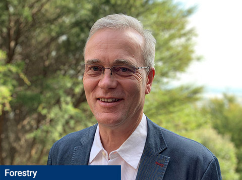 Nelson Pine Industries grows happiness from trees