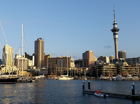 The Japan Times – New Zealand Report 2021